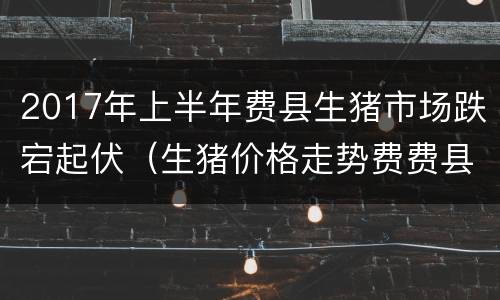 2017年上半年费县生猪市场跌宕起伏（生猪价格走势费费县猪亻价格）