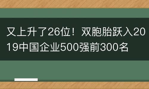 又上升了26位！双胞胎跃入2019中国企业500强前300名