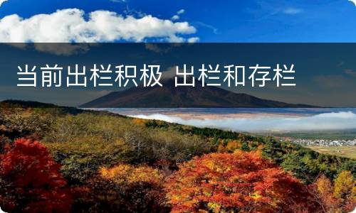 当前出栏积极 出栏和存栏