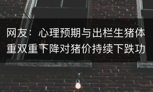 网友：心理预期与出栏生猪体重双重下降对猪价持续下跌功不可没