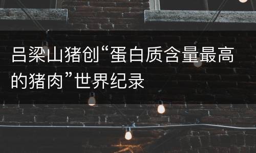 吕梁山猪创“蛋白质含量最高的猪肉”世界纪录