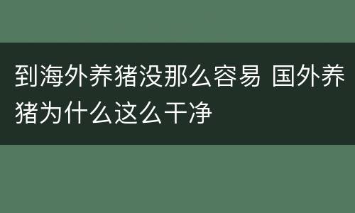 到海外养猪没那么容易 国外养猪为什么这么干净