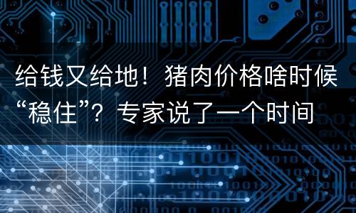给钱又给地！猪肉价格啥时候“稳住”？专家说了一个时间点……