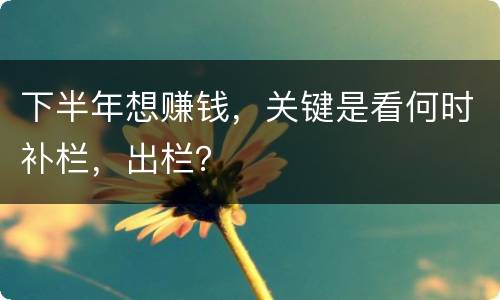 下半年想赚钱，关键是看何时补栏，出栏？