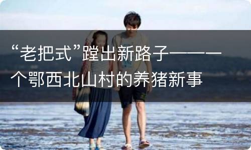 “老把式”蹚出新路子——一个鄂西北山村的养猪新事