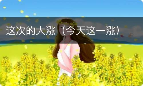 这次的大涨（今天这一涨）