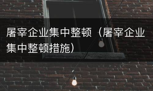 屠宰企业集中整顿（屠宰企业集中整顿措施）