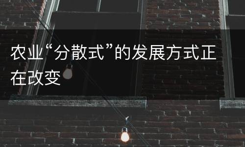 农业“分散式”的发展方式正在改变