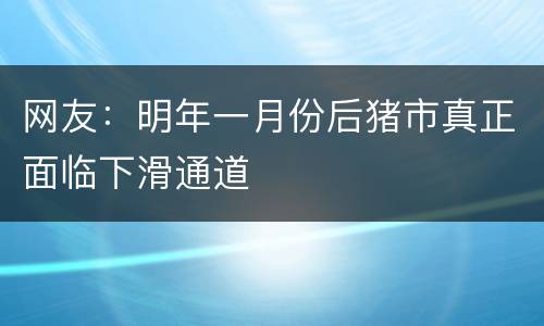 网友：明年一月份后猪市真正面临下滑通道
