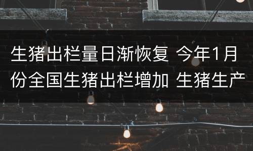 生猪出栏量日渐恢复 今年1月份全国生猪出栏增加 生猪生产稳步恢复