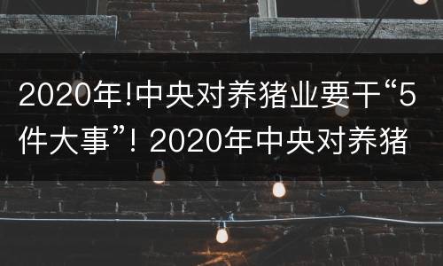 2020年!中央对养猪业要干“5件大事”! 2020年中央对养猪的政策