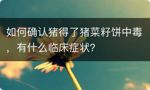 如何确认猪得了猪菜籽饼中毒，有什么临床症状？