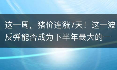 这一周，猪价连涨7天！这一波反弹能否成为下半年最大的一次？