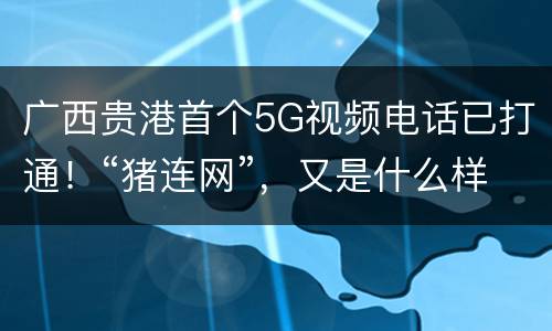 广西贵港首个5G视频电话已打通！“猪连网”，又是什么样的体验？