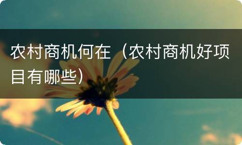 农村商机何在（农村商机好项目有哪些）