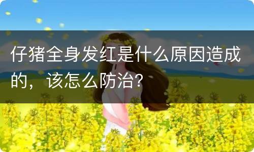 仔猪全身发红是什么原因造成的，该怎么防治？