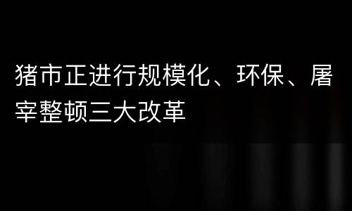 猪市正进行规模化、环保、屠宰整顿三大改革