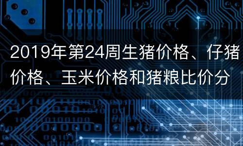 2019年第24周生猪价格、仔猪价格、玉米价格和猪粮比价分析：靓丽