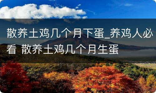 散养土鸡几个月下蛋_养鸡人必看 散养土鸡几个月生蛋