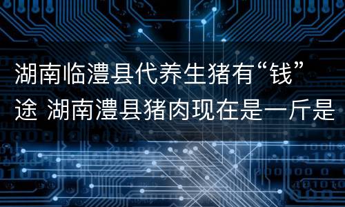 湖南临澧县代养生猪有“钱”途 湖南澧县猪肉现在是一斤是多少钱