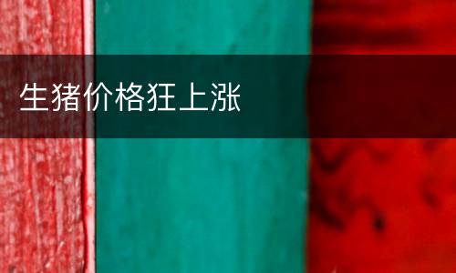 生猪价格狂上涨