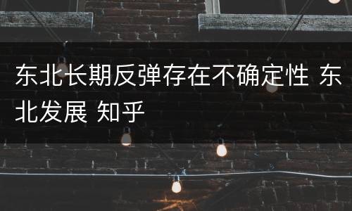 东北长期反弹存在不确定性 东北发展 知乎