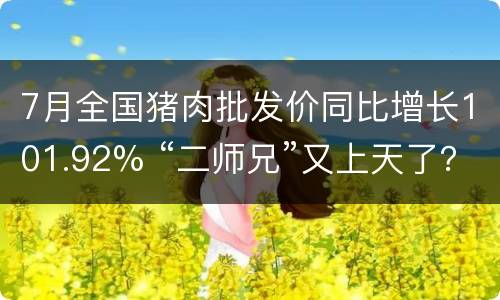 7月全国猪肉批发价同比增长101.92% “二师兄”又上天了？