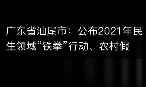 广东省汕尾市：公布2021年民生领域“铁拳”行动、农村假冒伪劣食品