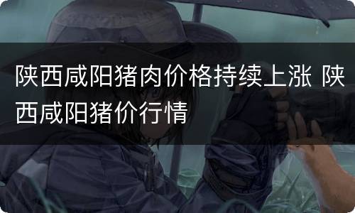 陕西咸阳猪肉价格持续上涨 陕西咸阳猪价行情
