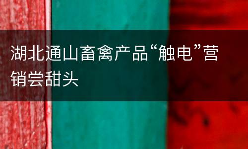 湖北通山畜禽产品“触电”营销尝甜头