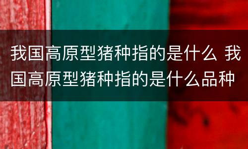 我国高原型猪种指的是什么 我国高原型猪种指的是什么品种