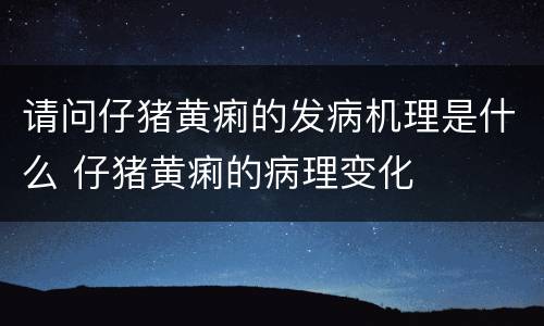 请问仔猪黄痢的发病机理是什么 仔猪黄痢的病理变化