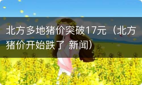 北方多地猪价突破17元（北方猪价开始跌了 新闻）