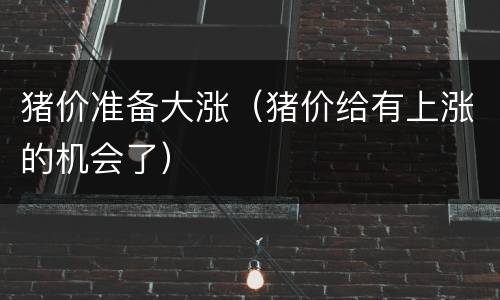 猪价准备大涨（猪价给有上涨的机会了）