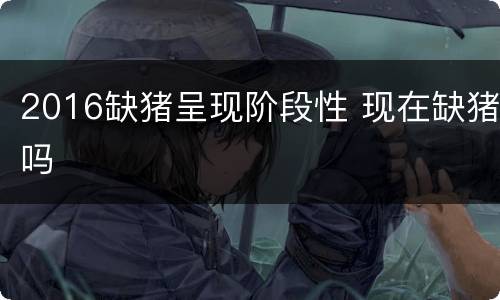 2016缺猪呈现阶段性 现在缺猪吗