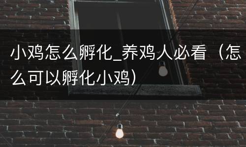 小鸡怎么孵化_养鸡人必看（怎么可以孵化小鸡）