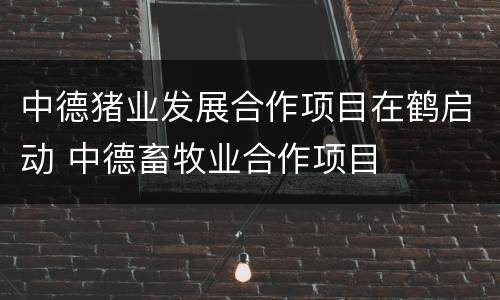 中德猪业发展合作项目在鹤启动 中德畜牧业合作项目
