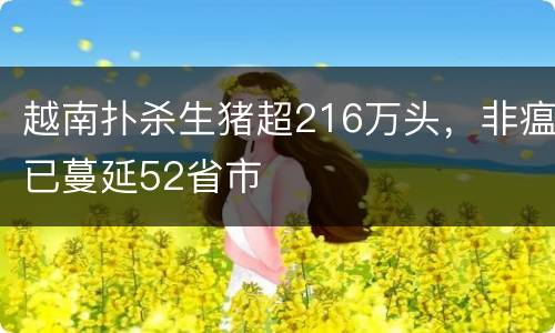 越南扑杀生猪超216万头，非瘟已蔓延52省市