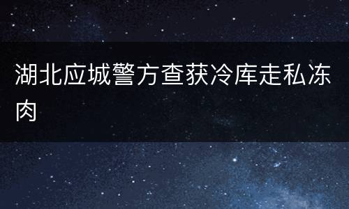 湖北应城警方查获冷库走私冻肉