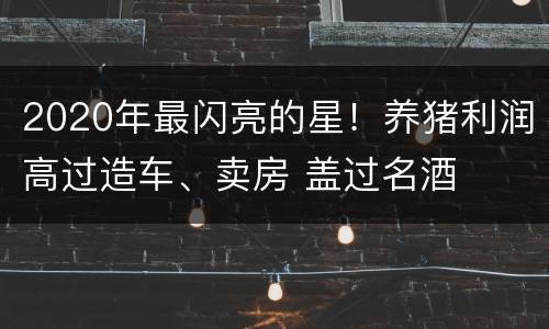 2020年最闪亮的星！养猪利润高过造车、卖房 盖过名酒