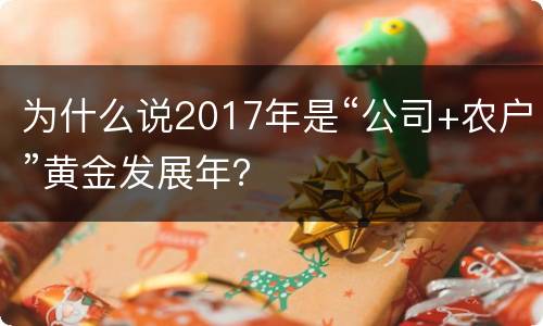 为什么说2017年是“公司+农户”黄金发展年？