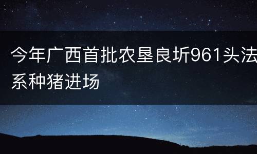 今年广西首批农垦良圻961头法系种猪进场