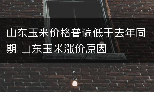 山东玉米价格普遍低于去年同期 山东玉米涨价原因