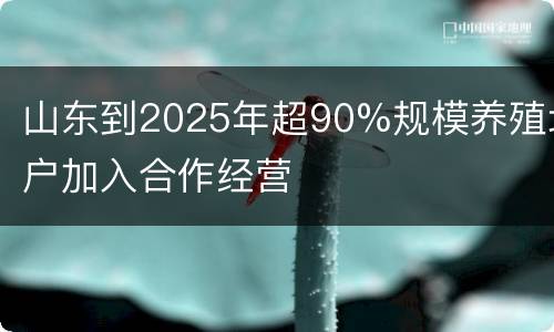 山东到2025年超90%规模养殖场户加入合作经营