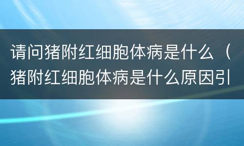 请问猪附红细胞体病是什么（猪附红细胞体病是什么原因引起的）