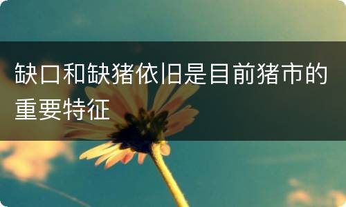 缺口和缺猪依旧是目前猪市的重要特征