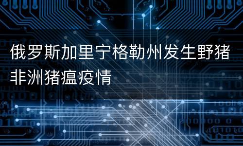 俄罗斯加里宁格勒州发生野猪非洲猪瘟疫情
