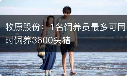 牧原股份：1名饲养员最多可同时饲养3600头猪