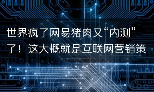 世界疯了网易猪肉又“内测”了！这大概就是互联网营销策略吧