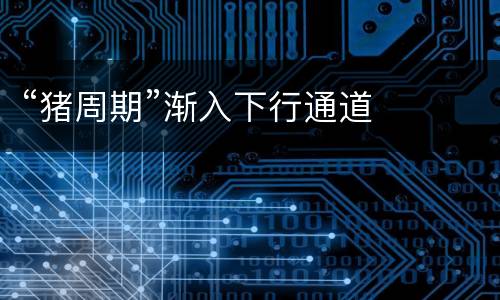 “猪周期”渐入下行通道